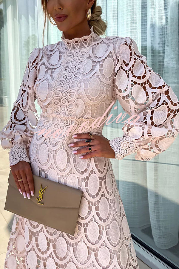 Elegant Lace Dress