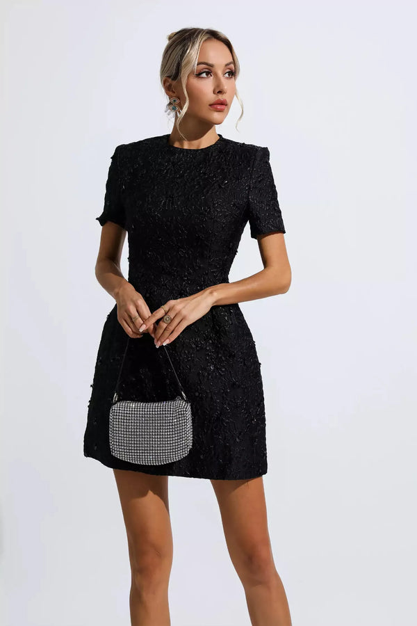 Dainty Sequined Mini Dress