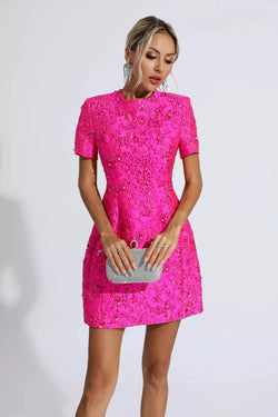 Dainty Sequined Mini Dress